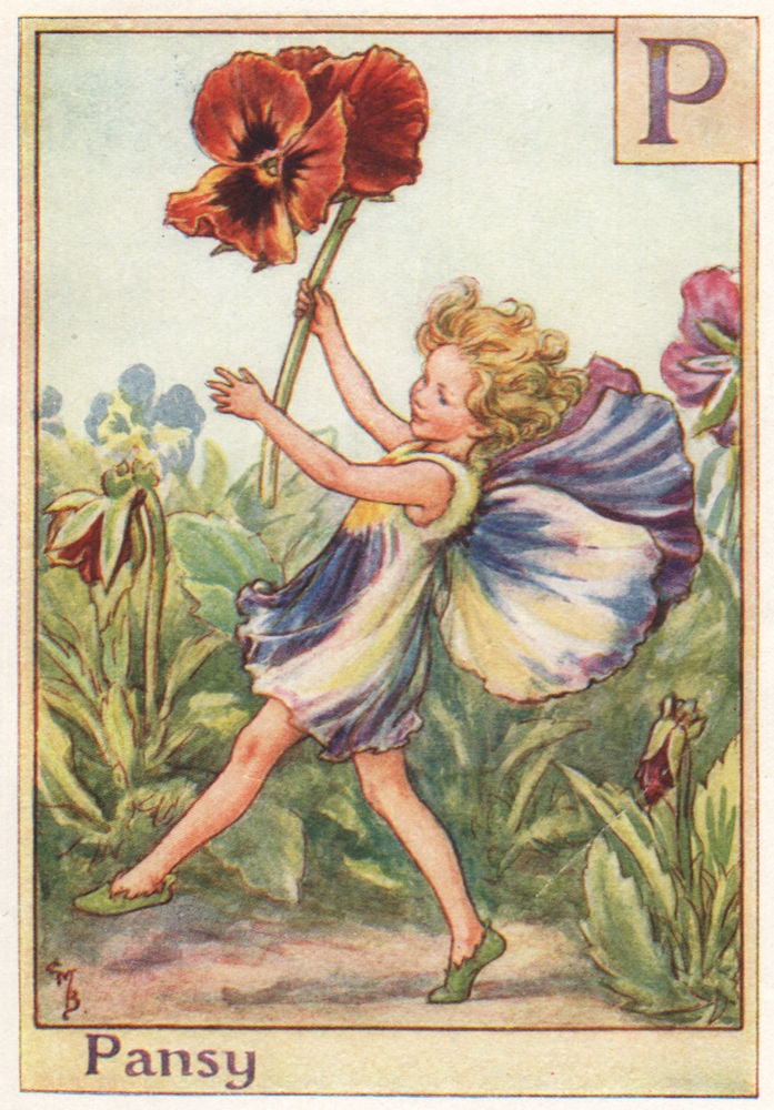 P = Pansy Fairy by Cicely Mary Barker. Alphabet Flower Fairies c1934 old print